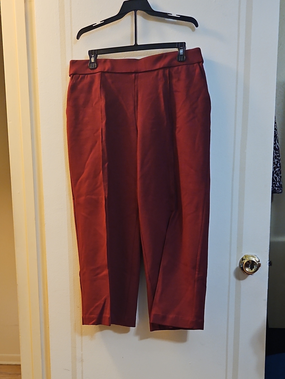 C by One Rust Cropped Pant, Size Large, Elastic Waist